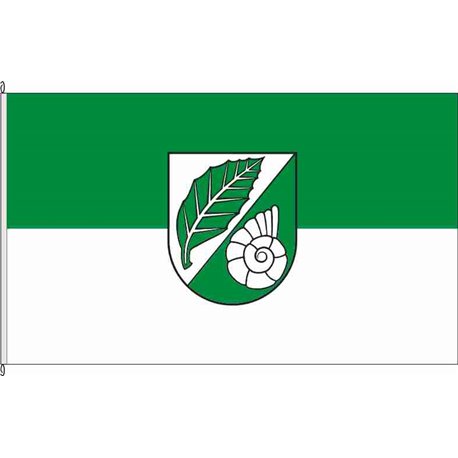 Fahne Flagge WF-Hemkenrode
