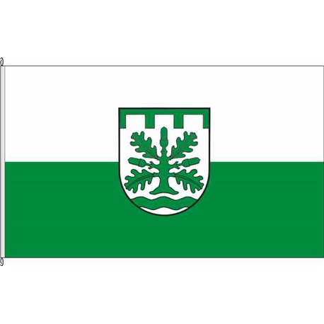 Fahne Flagge WF-Schladen-Werla