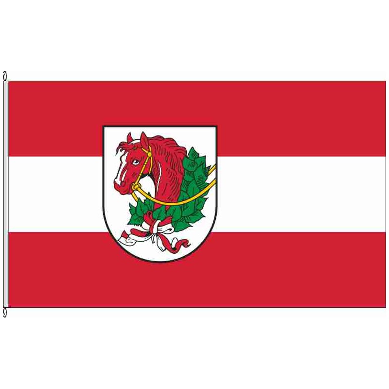 Fahne Flagge GÖ-Förste