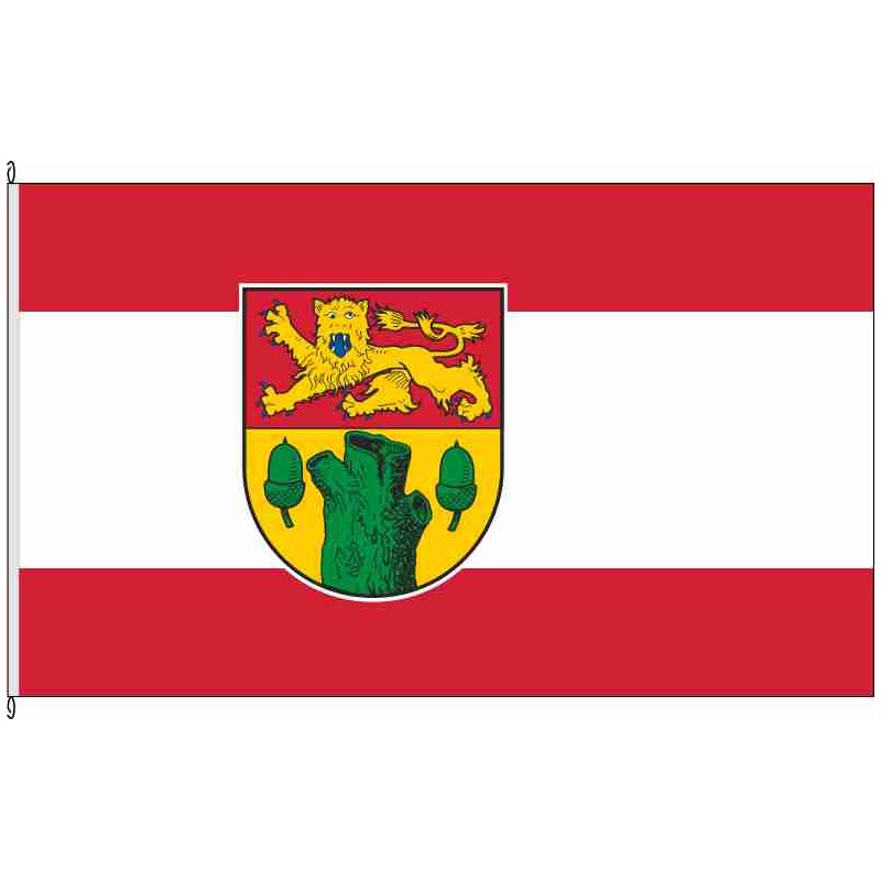Flagge Fahne Region Hannover Hissflagge 90 x 150 cm