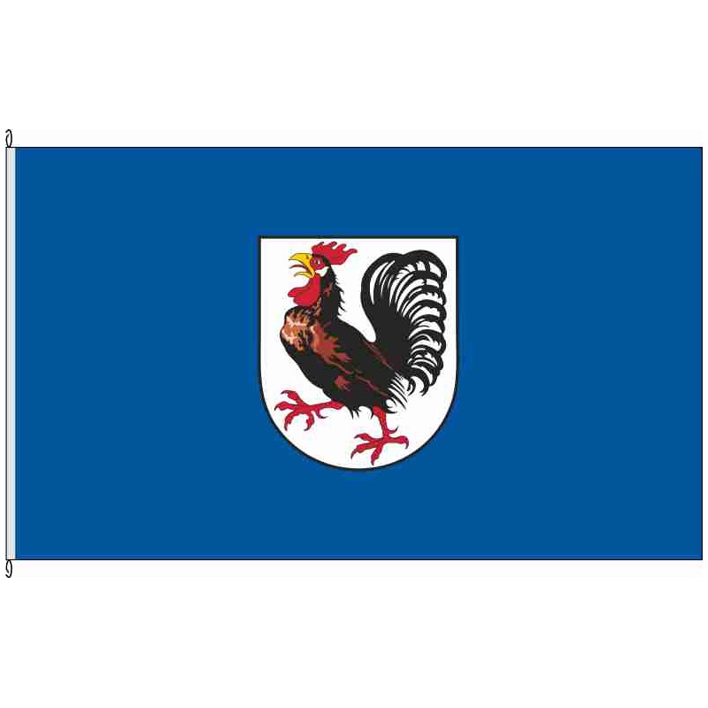 Fahne Flagge H-Seelze