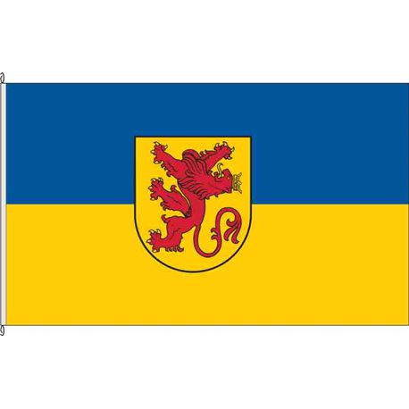 Fahne Flagge DH-Diepholz