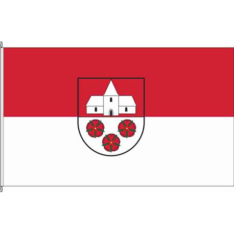 Fahne Flagge DH-Scholen
