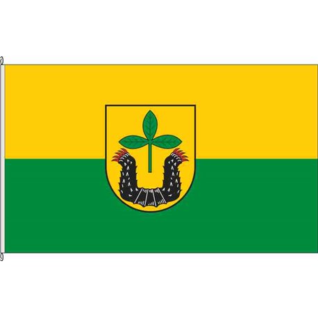 Fahne Flagge DH-Siedenburg