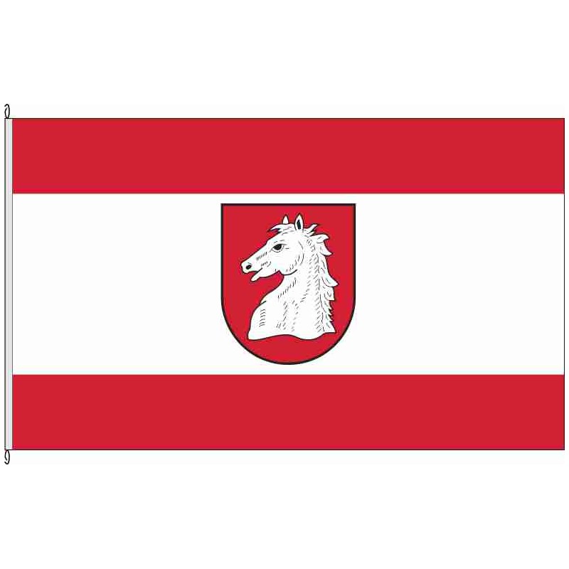 Fahne Flagge NI-Diepenau