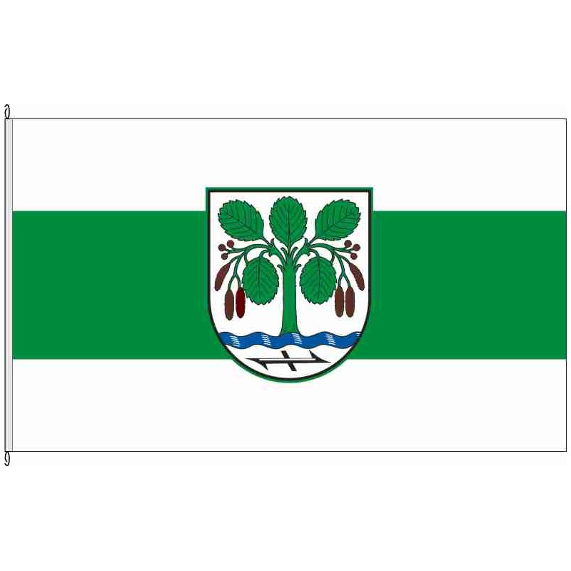 Fahne Flagge CE-Ahnsbeck