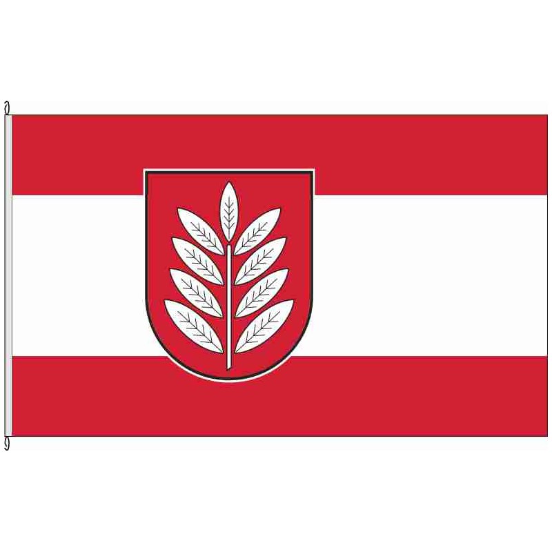 Fahne Flagge CE-Eschede