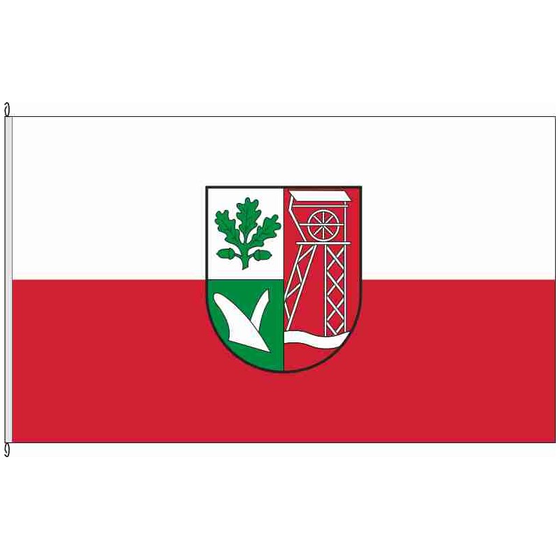 Fahne Flagge CE-Höfer