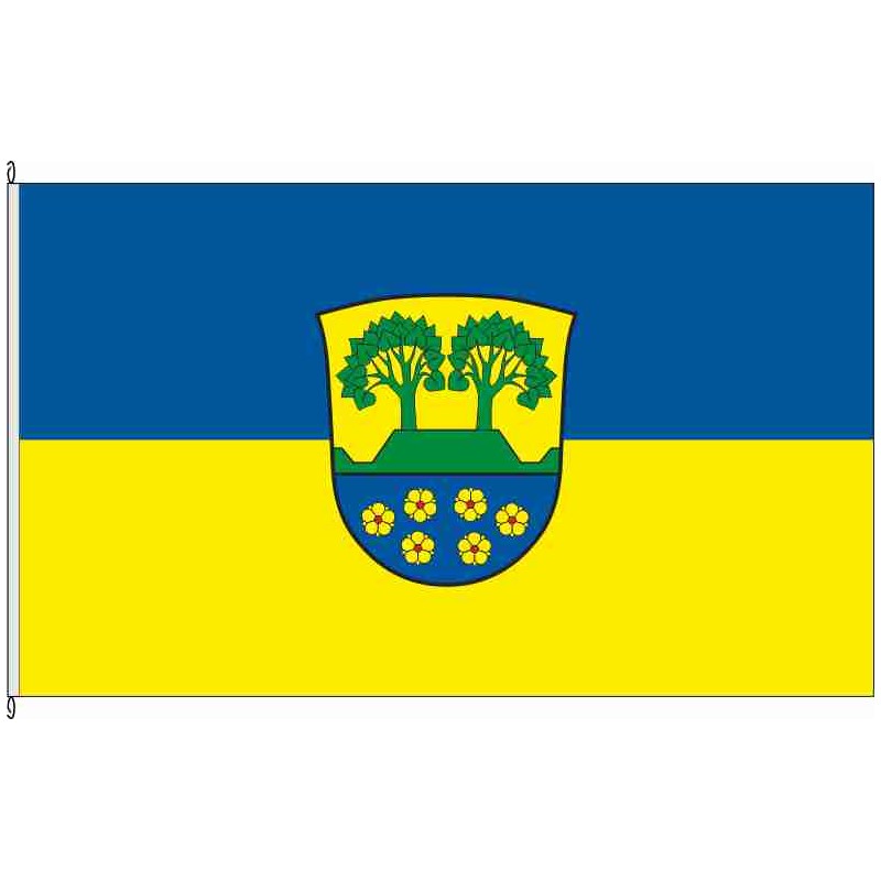 Fahne Flagge LG-Barendorf