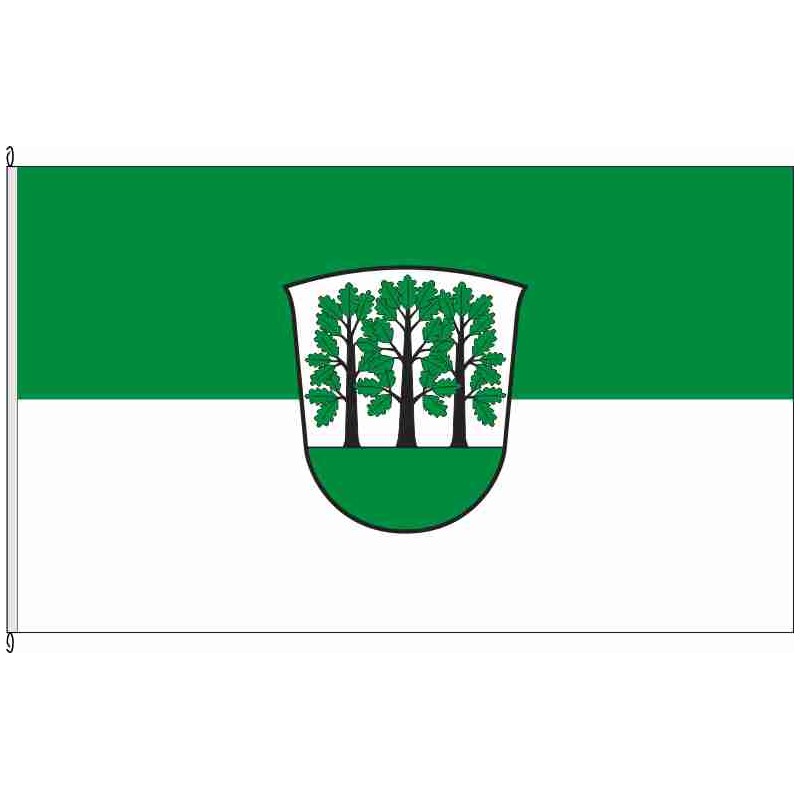 Fahne Flagge LG-Echem