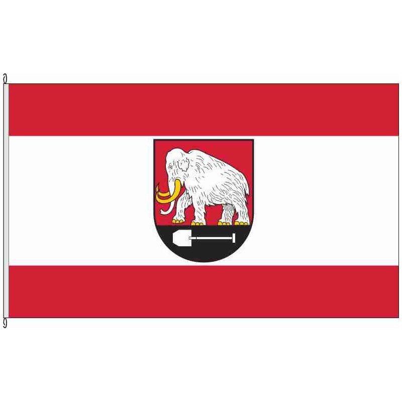 Fahne Flagge ROW-Seedorf