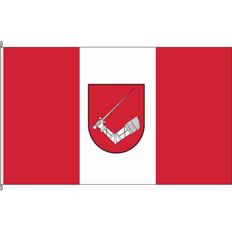 Fahne Flagge STD-Apensen