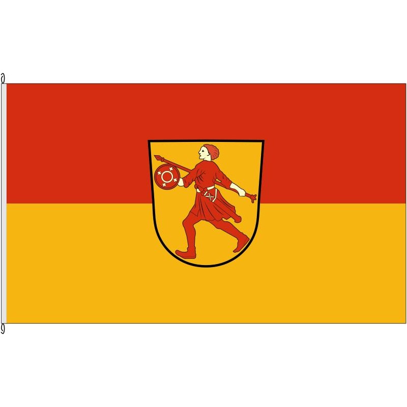 Fahne Flagge Wittmund 30 x 45 cm Bootsflagge Premiumqualität