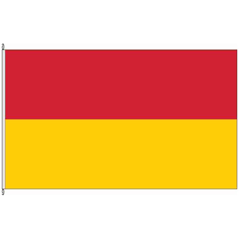 Fahne Flagge EL-Lingen (Ems) (o.W.)