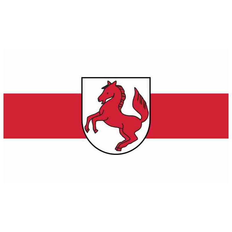 Fahne Flagge FRI-Schortens