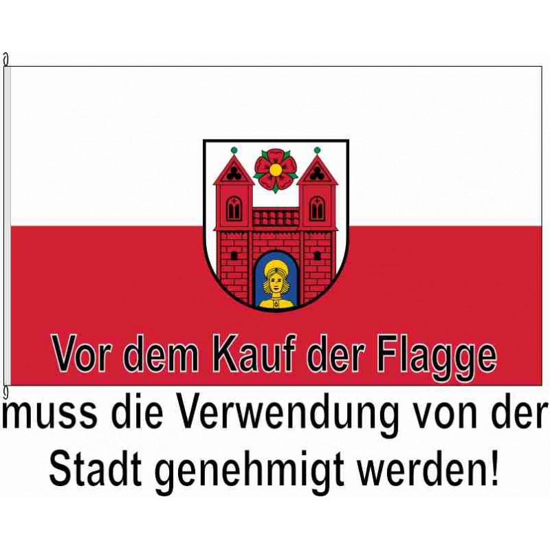 Fahne Flagge OL-Wildeshausen