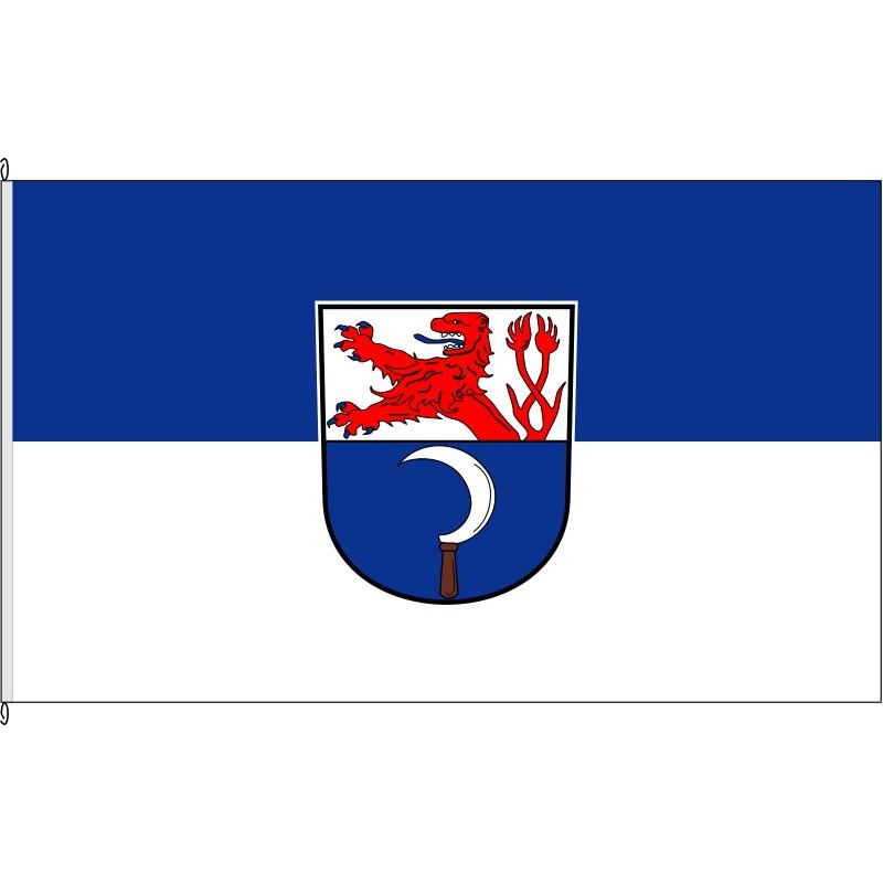 Fahne Flagge RS-Remscheid