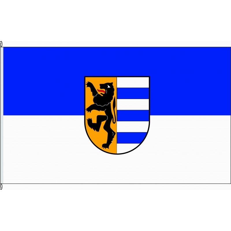 Fahne Flagge VIE-Amern