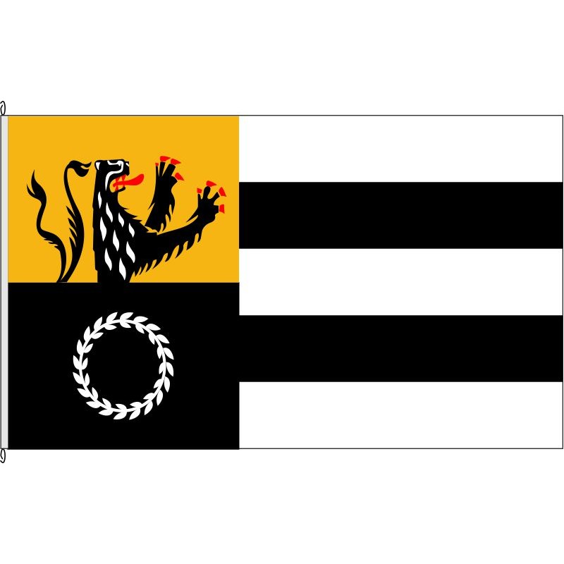 Fahne Flagge DN-Siersdorf