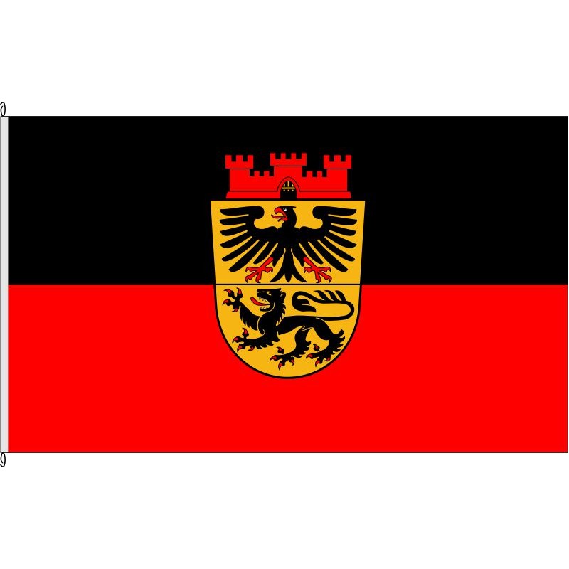 Fahne Flagge DN-Düren (Variante)