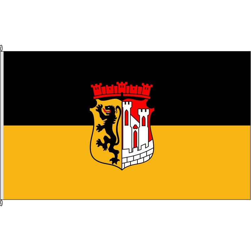 Fahne Flagge DN-Jülich