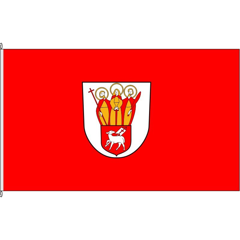 Fahne Flagge DN-Güsten