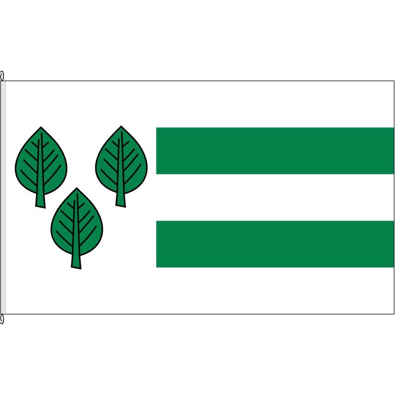 Fahne Flagge DN-Bogheim