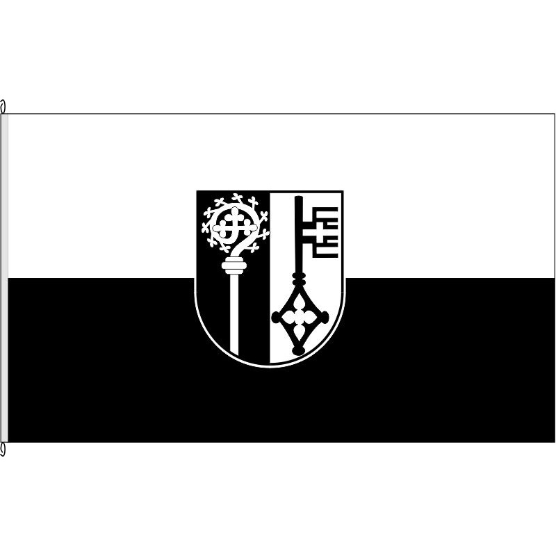 Fahne Flagge BM-Friesheim