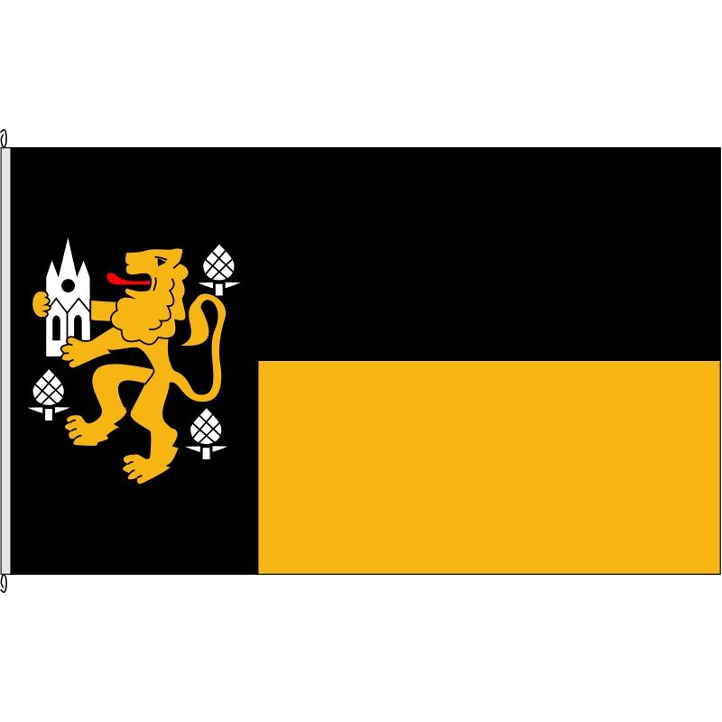 Fahne Flagge HS-Löwenich