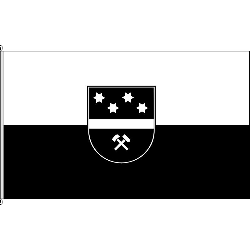 Fahne Flagge HS-Hückelhoven