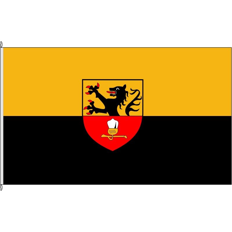Fahne Flagge HS-Brachelen