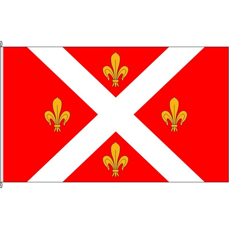 Fahne Flagge HS-Rurich