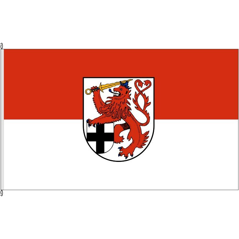 Fahne Flagge SU-Rhein-Sieg-Kreis