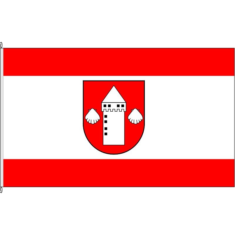 Fahne Flagge BOR-Oeding