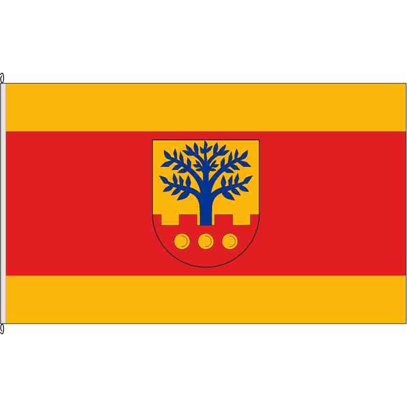 Fahne Flagge COE-Ascheberg
