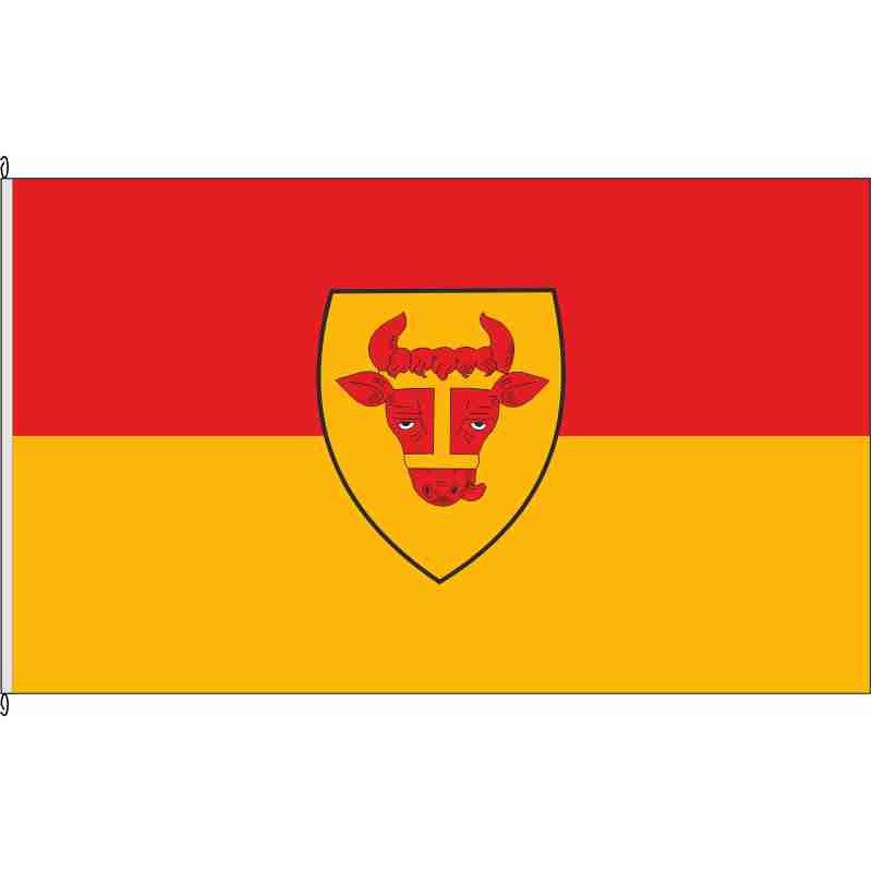 Fahne Flagge COE-Coesfeld