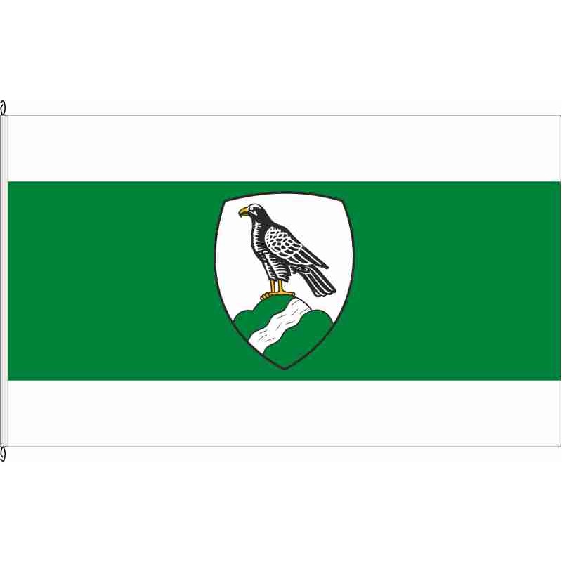 Fahne Flagge COE-Havixbeck