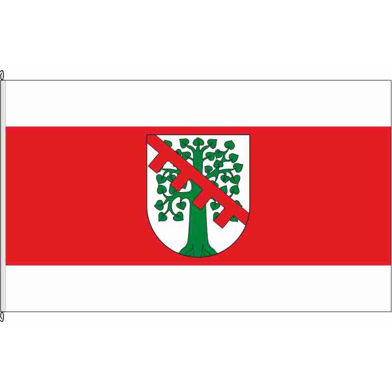 Fahne Flagge COE-Senden