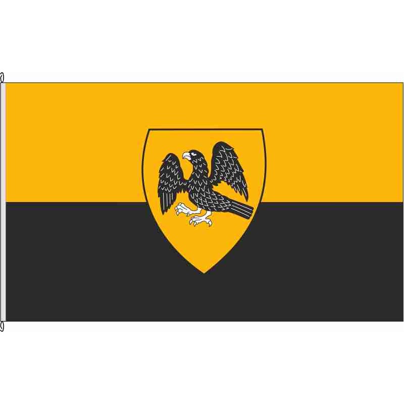 Fahne Flagge ST-Laer