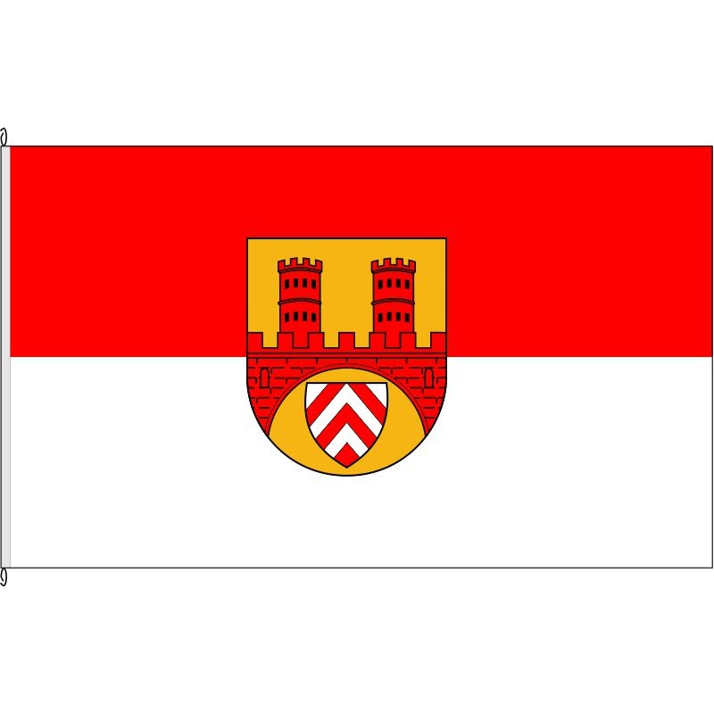 Fahne Flagge BI-Bielefeld