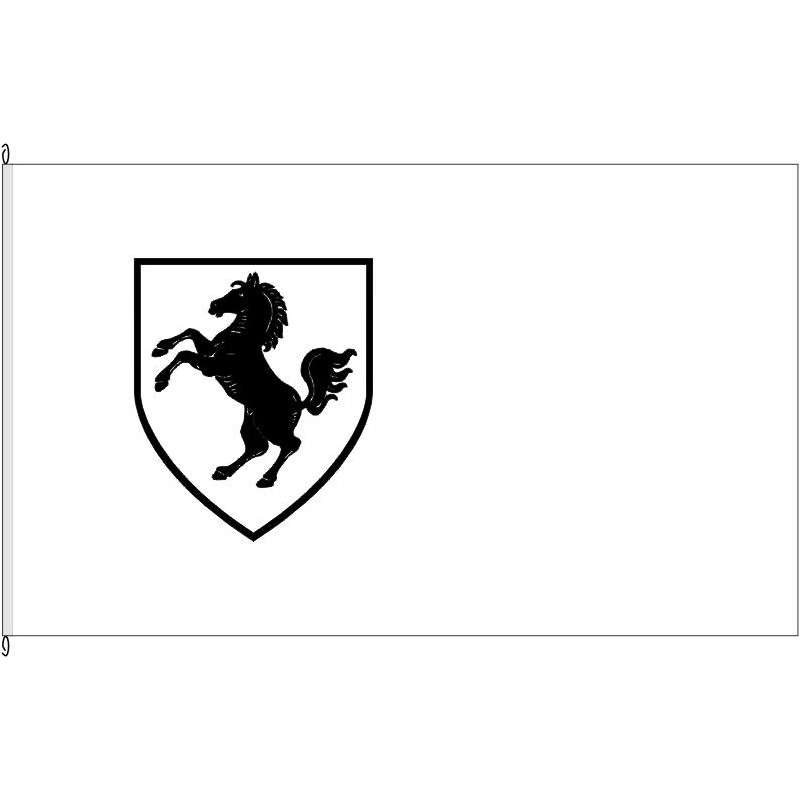 Fahne Flagge HF-Kreis Herford
