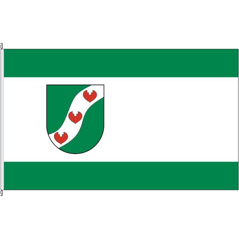 Fahne Flagge HF-Löhne