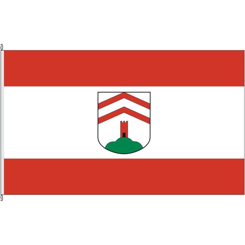 Fahne Flagge HF-Rödinghausen