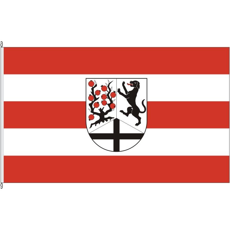 Fahne Flagge PB-Delbrück