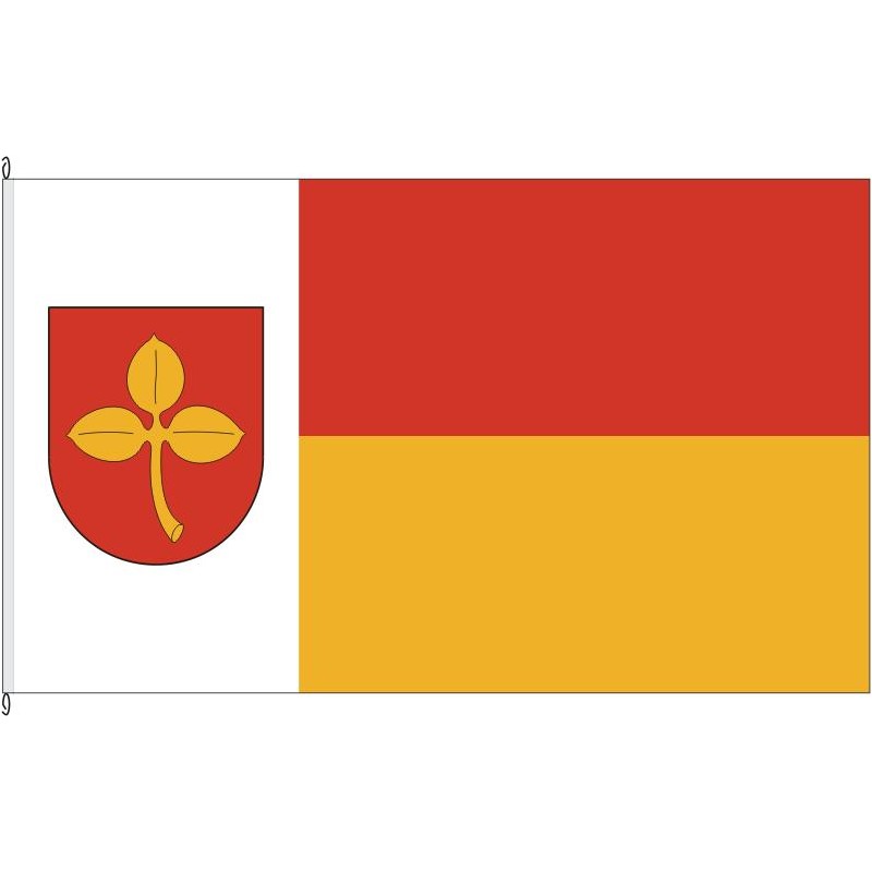 Fahne Flagge PB-Salzkotten