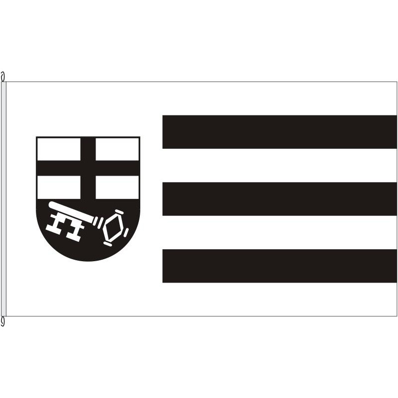 Fahne Flagge HSK-Brilon