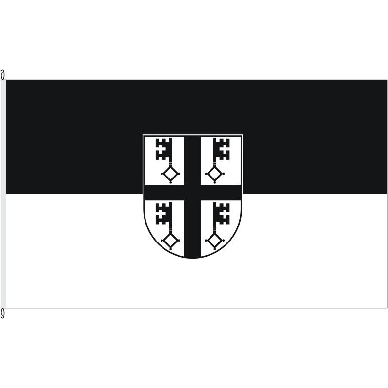Fahne Flagge HSK-Hallenberg