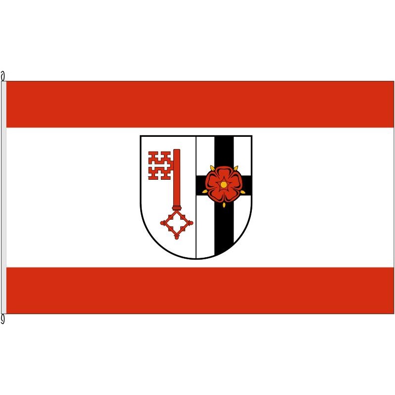 Fahne Flagge SO-Kreis Soest
