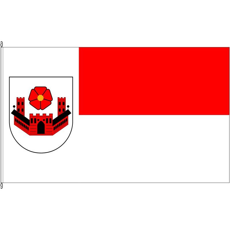 Fahne Flagge SO-Lippstadt (Variante)