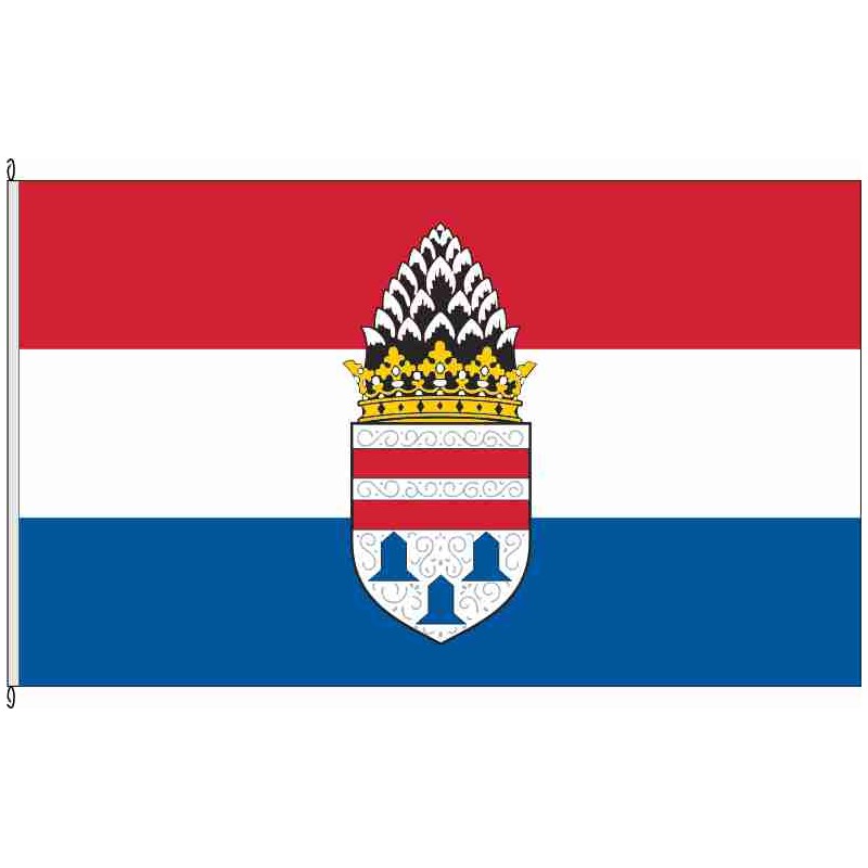 Fahne Flagge HG-Kronberg im Taunus